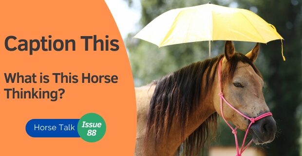 Horse Talk